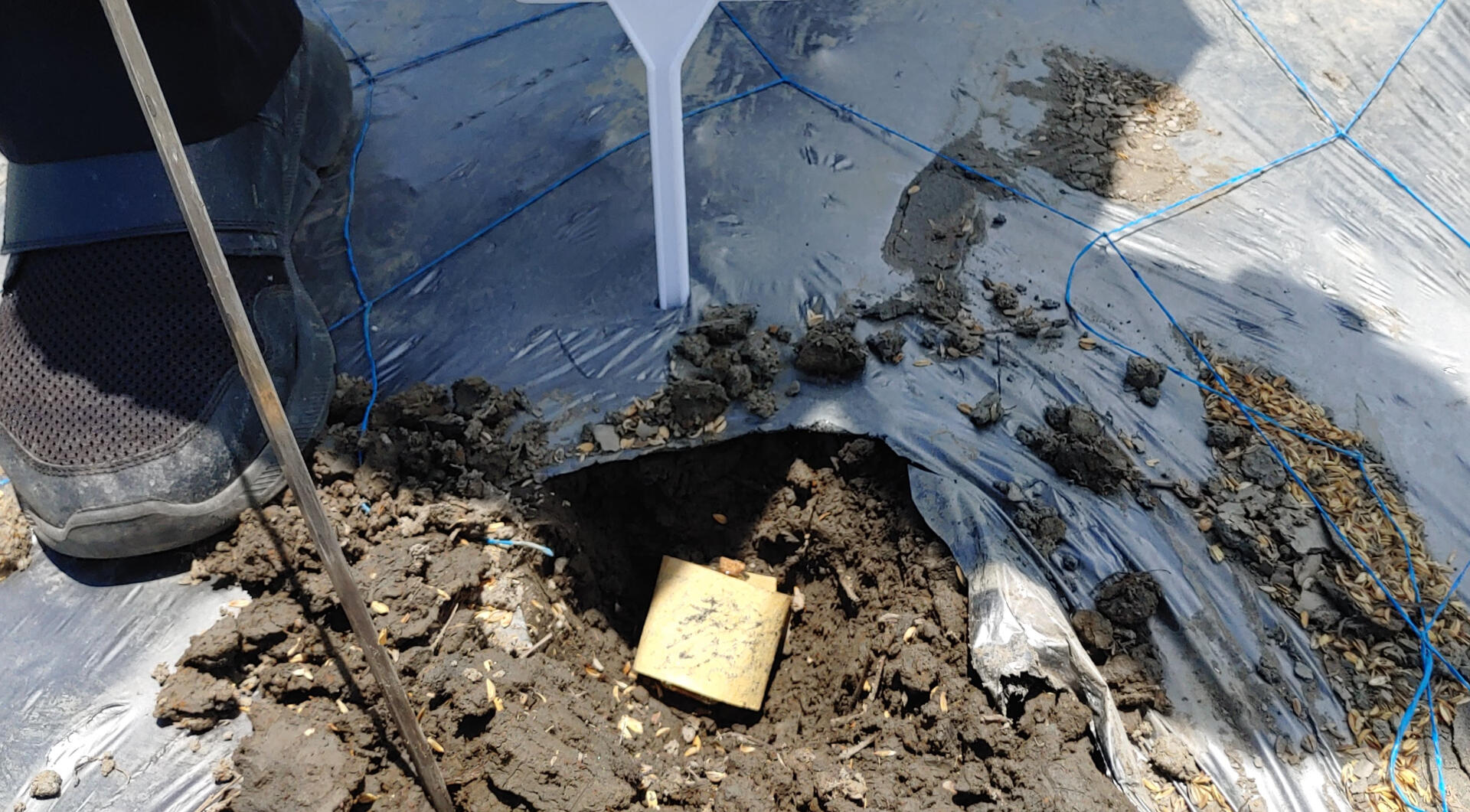 財氣生基．金封蓋埋藏